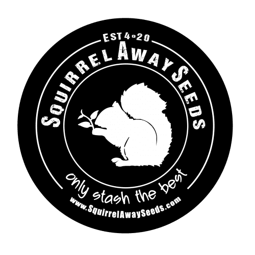 Squirrel Away Seeds - Canadian Seed Bank